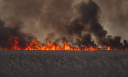 В Одеській області масштабна пожежа: вогонь перекинувся на нацпарк