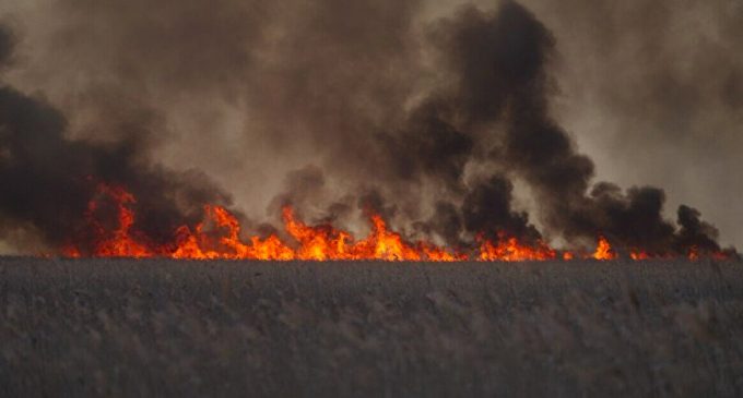 В Одеській області масштабна пожежа: вогонь перекинувся на нацпарк