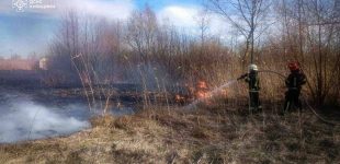 На Київщині загинули двоє людей під час спалювання трави
