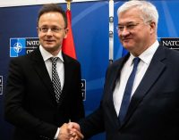 Сійярто зустрівся з Сибігою і знову заговорив про “інтереси” меншин