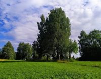 Штрафи за порушення в українських заповідниках зростуть у 50 разів