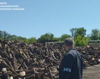 БЕБ розкрило розкрадання 90 млн грн на дровах, призначених для ЗСУ