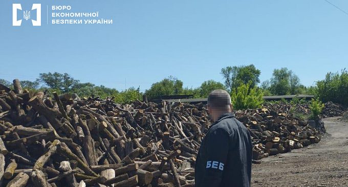 БЕБ розкрило розкрадання 90 млн грн на дровах, призначених для ЗСУ