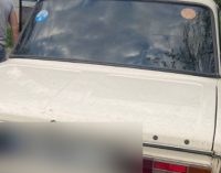 У Дніпрі патрульні затримали водія, який мав при собі наркотичні речовини та пістолет