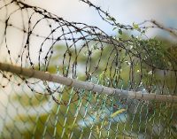 В Україні підготували 5 спеціальних СІЗО та колоній для екстрадованих чиновників