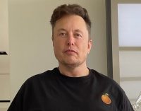 WP: Маск планує залишити DOGE через критику лівих політиків