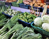 Дорожчає все, від продуктів до послуг: НБУ пояснив стрибок цін в Україні