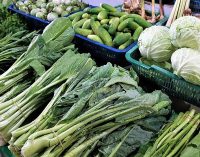Реєстр ГМО почне працювати в Україні з осені наступного року
