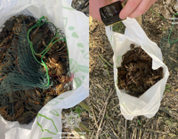 У Дніпрі водний патруль виявив браконьєра: подробиці