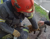 У Дніпрі поліцейські затримали підозрюваного у збуті наркотиків