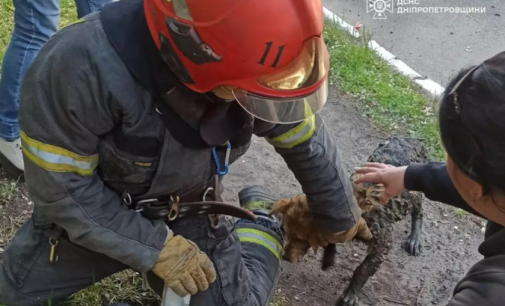 У Дніпрі поліцейські затримали підозрюваного у збуті наркотиків