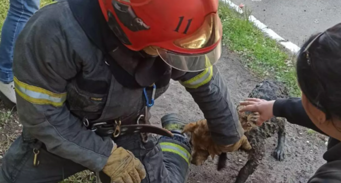 У Дніпрі поліцейські затримали підозрюваного у збуті наркотиків