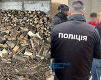 На Дніпропетровщині депутат організував масштабну вирубку лісу: деталі