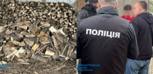 На Дніпропетровщині депутат організував масштабну вирубку лісу: деталі