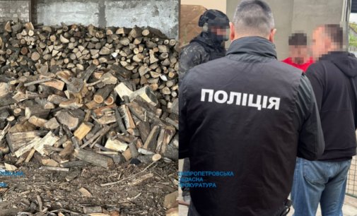 На Дніпропетровщині депутат організував масштабну вирубку лісу: деталі