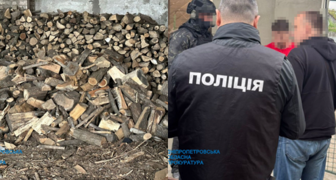На Дніпропетровщині депутат організував масштабну вирубку лісу: деталі