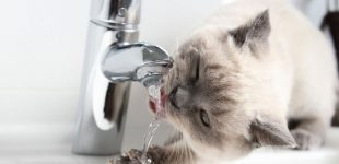 Наступного тижня у передмісті Дніпра відключатимуть воду боржникам