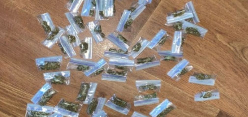 Криворізькі поліцейські викрили двох наркоділків у м. Апостолове