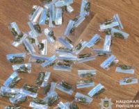 Криворізькі поліцейські викрили двох наркоділків у м. Апостолове