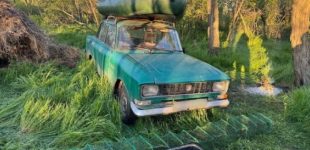 Незаконно виловив раків та риби майже на мільйон гривень під час нерестової заборони: поліцейські водної поліції Дніпра викрили порушника
