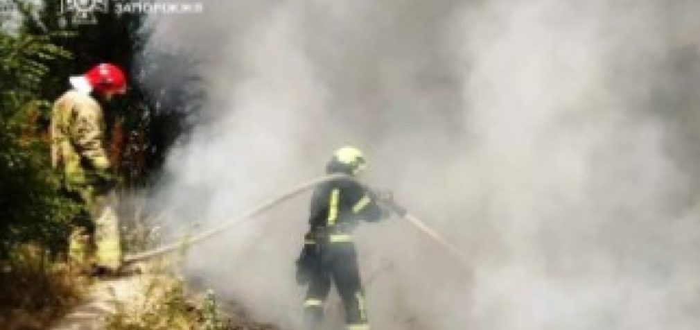 За минулу добу на території Запорізької області рятувальники ліквідували 9 пожеж в екосистемах