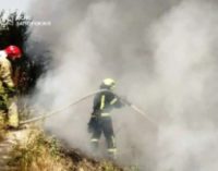 За минулу добу на території Запорізької області рятувальники ліквідували 9 пожеж в екосистемах
