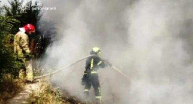 За минулу добу на території Запорізької області рятувальники ліквідували 9 пожеж в екосистемах