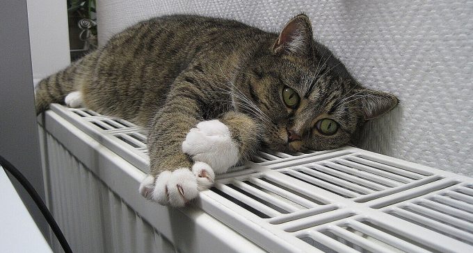 У Міненерго заявили, що Україна буде забезпечена достатньою кількістю газу та вугілля
