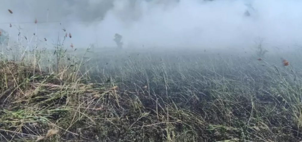 За минулу добу на території Запорізької області рятувальники ліквідували 12 пожеж в екосистемах