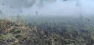 За минулу добу на території Запорізької області рятувальники ліквідували 12 пожеж в екосистемах