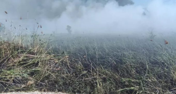За минулу добу на території Запорізької області рятувальники ліквідували 12 пожеж в екосистемах