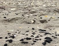 Капітану російського танкера оголосили підозру за забруднення моря мазутом – ОГП