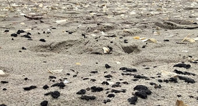 Капітану російського танкера оголосили підозру за забруднення моря мазутом – ОГП