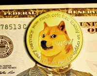 Вартість криптовалюти Dogecoin обвалилася на тлі сварки Маска і Трампа