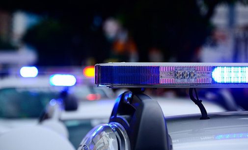Словаччина передчасно розповіла про поліцейську операцію з Чехією в Україні