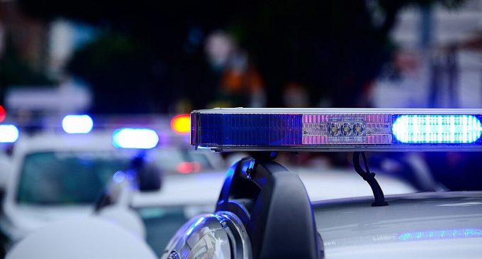 Словаччина передчасно розповіла про поліцейську операцію з Чехією в Україні