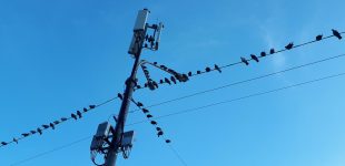 У Полтавській області через негоду залишилися без світла понад 5 тисяч жителів