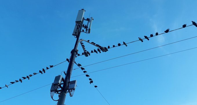 У Полтавській області через негоду залишилися без світла понад 5 тисяч жителів